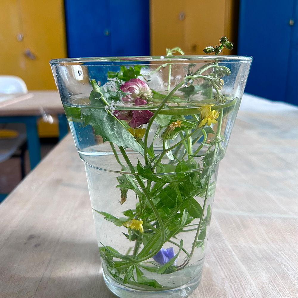 מרכז ג׳ינוגלי